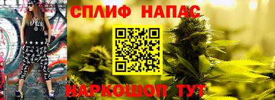 a pvp Будённовск
