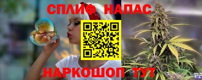 a pvp Будённовск