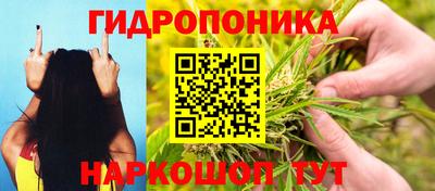 стафф Бузулук