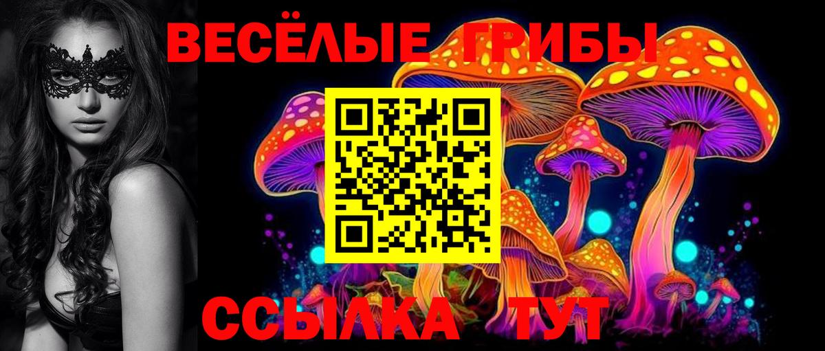 Псилоцибиновые грибы GOLDEN TEACHER Сургут