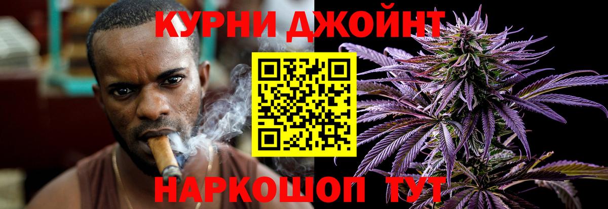 Каннабис OG Kush Сургут